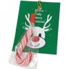Promotional Candy Canes With Cards